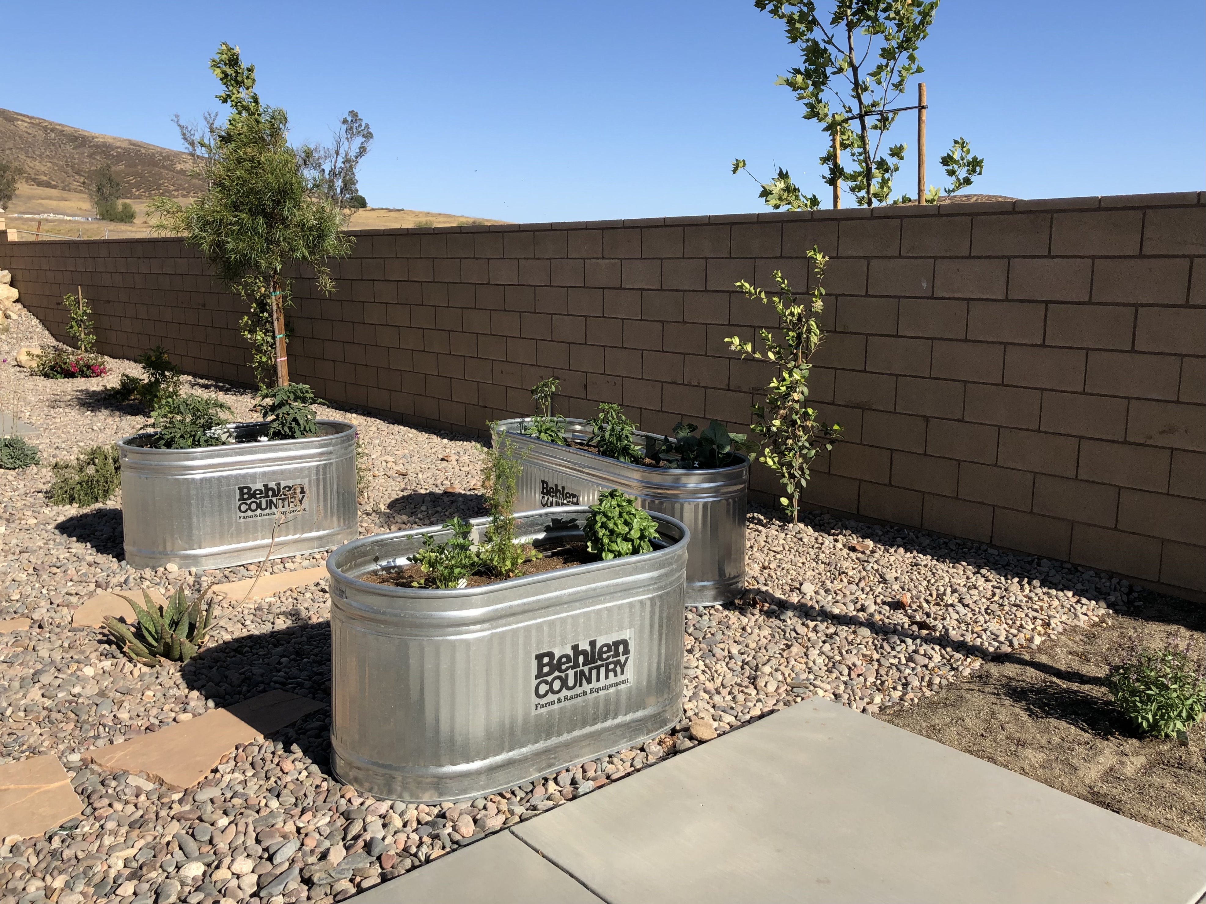 Side yard, view 2